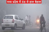 mp weather update today severe cold in madhya pradesh