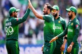 pakistan fast bowler wahab riaz was made the sports minister