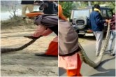 python Viral Video