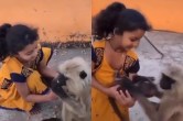 बच्ची लंगूर से उसका बच्चा लेते हुए