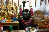 shaligram pathar,shaligram,shaligram shila,shaligram stone,shaligram puja vidhi,shaligram stones,shaligram stone nepal to ayodhya