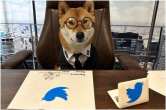 Elon Musk Tweet, Twitter. Twitter New CEO Picture