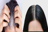 Natural Black Hair balon ko kala kaise karen