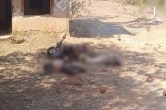 Rajnandgoan Naxals Attack
