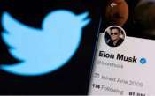 Twitter Blue Benefits, Twitter Blue Users