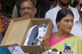 Telangana, YS Sharmila, Shoe Box, CM KCR, Padyatra, Telangana News, Telangana Hindi News