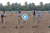 cricket funny video