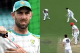glenn maxwell