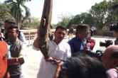 mp budget session jitu patwari arrived in assembly with hal