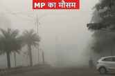 mp weather update cold returned again in madhya pradesh