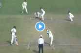 nathan lyon lbw to kl rahul watch video