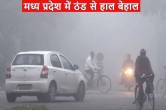 severe cold in madhya pradesh