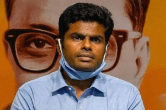 Tamil Nadu BJP, K Annamalai, CM MK Stalin, BJP cadre, Senthil Balaji arrest, ED, Tamil Nadu politics, Tamil Nadu news