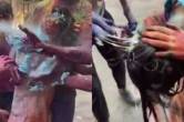 Delhi, Delhi Video, Delhi Holi 2023, Japanese Woman Harassed, Japanese In Delhi, Delhi Police, Holi Celebration
