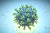 H3N2 Virus