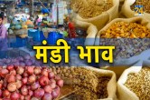Mandi Bhav