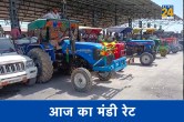 mandi bhav