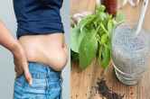 Weight Loss Drink