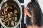 Hair Growth TIPS benefits of applying onion in hair