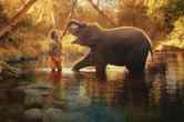 the elephant whisperers, the elephant whisperers oscar, the elephant whisperer download, the elephant whisperers cast, the elephant whisperers oscar nominations, did the elephant man win any oscars, oscar 2023, oscars 2023, oscar nominations 2023