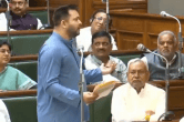 Bihar News, Tehashwi Yadav, Nitish Kumar