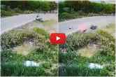 Viral Video, Lucknow, UP News