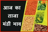 mandi bhav