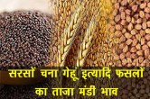 mandi rate