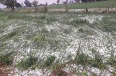 mp weather update Heavy rain and hailstorm alert