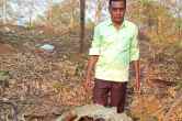 Balod