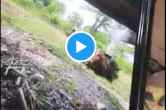 Dantewada Naxal attack