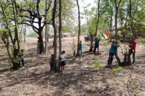  Jharkhand, Chipko Movement, Dhanbad News