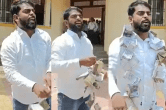 Maharashtra, Sarpanch, Sambhajinagar, Viral Video
