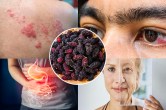 Mulberry Fruit Benefits