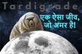 Tardigrade an organism that is immorta