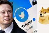 Ads Revenue Sharing, twitter, elon musk, gadget news, gadget news in hindi