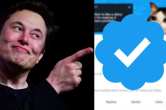 twitter blue tick copy, twitter blue tick emoji, twitter blue subscription, twitter blue benefits, twitter verified account, how to buy twitter blue tick, twitter blue android, twitter blue countries,