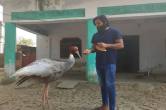 UP News, MP Varun Gandhi, Sarus Crane, Arif, Friendship, Uttar Pradesh News