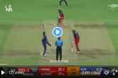 IPL 2023 Mark Wood clean bowled Glen Maxwell