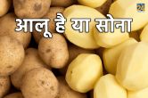aalu