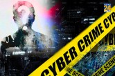 Cyber Fraud Case