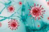 Corona Cases in India, Corona Update, Coronavirus, Coronavirus Update, Covid, Covid 19, India Corona Update