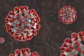 India Corona Update, Corona Cases in India, Corona Update, Coronavirus, Coronavirus Update, Covid, Covid 19