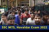 SSC MTS, Havaldar Exam 2022