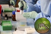Science news, science news hindi, science news in hindi, Health news,