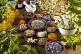 Uttarakhand Weather, Snowfall in Uttarakhand, Uttarakhand Herbs, Apple Farming, Uttarakhand News