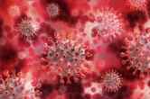 India Corona Update, Corona Cases in India, Corona Update, Coronavirus, Coronavirus Update, Covid, Covid 19