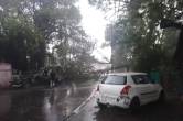 mp weather update