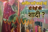 shani gochar, vakri shani, kumbh rashi, vrishabh rashi, jyotish tips