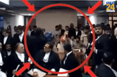 Ahmedabad News, Suicide Attempt, Live Hearing, Gujarat High Court